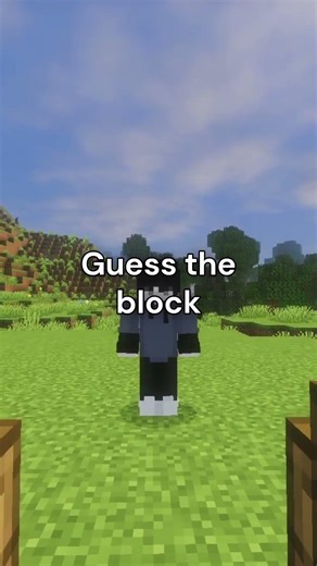 You Have 1 Second... Guess the Block👀