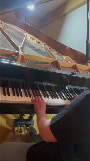 Das Fliegende Klassenzimmer ~ #piano #music