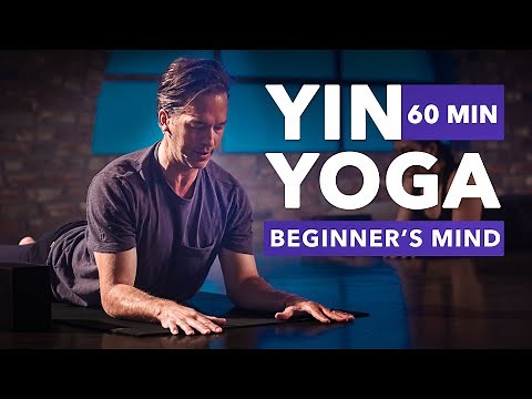 60 Min Yin Yoga 'Beginners Mind' l Stretch Low Back, Spine and Hips