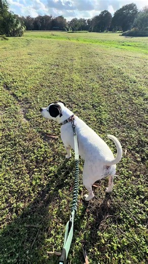 Eileen A Ahearn (@eileenaahearn)’s videos with sonido original - Erik Esparza