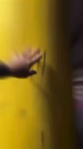 32 reactions · 17 shares |  There’s clean… and then there’s Blue Sapphire CLEAN! Watch what happens when dirt, oil, and grime meet their match. Safe for you, your family, and the planet Eco-friendly • Biodegradable • Food safe Dare to try it? Purchase a bottle and see just how easy it is to transform your space. ⚠️ Warning ⚠️ you might start cleaning everything  info@bluesapphire.co.za  0609173173  www.bluesapphire.co.za | Blue Sapphire | Facebook