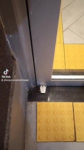 Amo muito tudo isso ! | gatobengal.com.br | Facebook