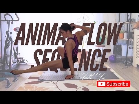 Animal Flow Workout for Beginners