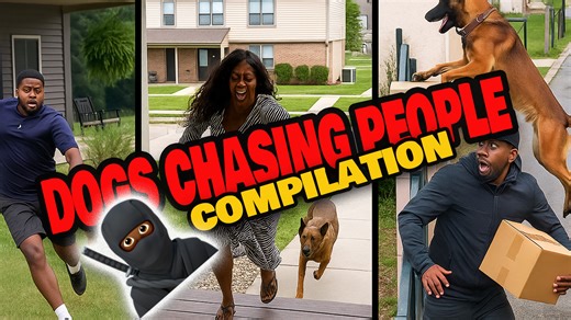 Get ready to laugh out loud! This hilarious compilation shows dogs chasing people in the funniest ways — from delivery drivers and joggers to kids running for their lives 😂🐾. If you love funny dog videos, dog fails, and crazy chase moments, this is for you! 🐶💨 Watch until the end — the last clip will have you crying laughing. #FunnyDogs #DogsChasingPeople #DogFails #ViralDogVideo #DogsBeLike | Power Couple Movement
