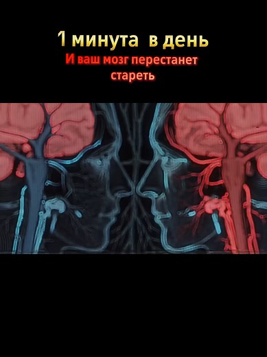Система восстановления мозга для молодости и здоровья