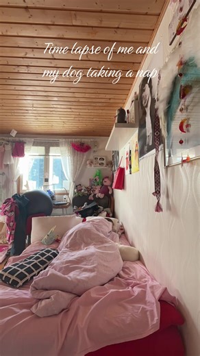 Time Lapse of a Nap with My Dog
