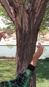 173K views · 727 reactions | learn how to knots #cableknots #cabletips #reelsfb #cabletricks #knots | Cabletips | Facebook