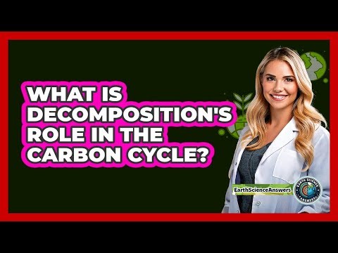 What Is Decomposition's Role In The Carbon Cycle?