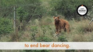 411 reactions · 89 shares | Join us in celebrating more than 20 years...