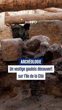 Les origines gauloises de Paris ? Une découverte archéologique semble l'attester