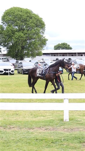 Ballymore Racing NZ on Instagram: "Trials are for education, fitness and experience. Take a look behind the scenes into the instructions Pam delivers to jockeys on a trial day. We also can’t help but think George has studied the replay into the Gr.1 @albasti_equiworld 2000 Guineas more than once 🤔"