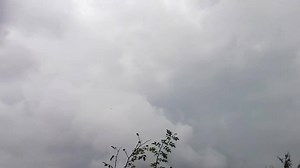 La fortuna e l'emozione di avere un aquila reale che volteggia a una cinquantina di metri sopra di te per quasi 5 minuti e la sfiga di avere solo un cellulare (il video è di pessima qualità), sono comunque impagabili. Grazie di avermi dato quest'emozione. Vai vai vai vola libera e fiera. #iononhopauradellupo | Io non ho paura del lupo