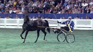 2012 WCHS - Class 242 Roadster To Bike World's Grand Championship