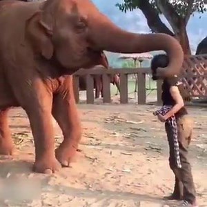 290K views · 3.4K shares | ❤ Need a Hug ❤ | Aladdin clothing | Facebook