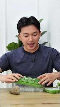 Praktis buat es batu