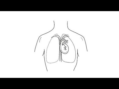 Step-by-Step Guide: How to Sketch the Human Body for Beginners