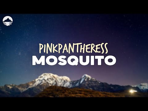 PinkPantheress - Mosquito | Lyrics