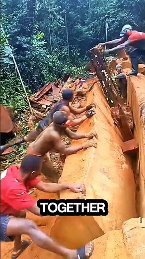 separating the wood by pushing it together #logging #logging #sawblade #wood