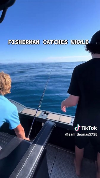 Whale Caught While Fishing: A Shocking Encounter