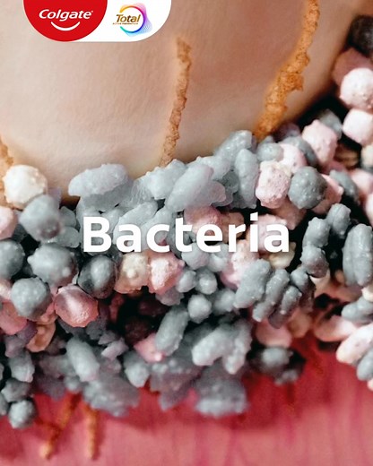 239 reactions | Bacteria is the root cause of gum problems. Fight bacteria 3 times more effectively* with Colgate Total. | Colgate Malaysia | Facebook