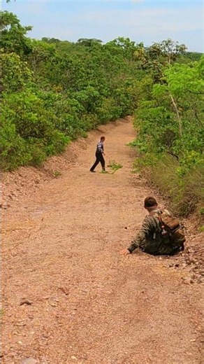 MARIMBONDO KKKKK! #javalibrasil #caçadejavali #hunter #hunting #wildboar