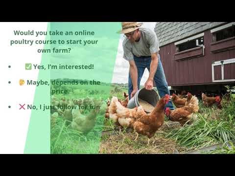 Would You Join an Online Poultry Course to Start Your Own Farm? 🐔🎓