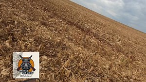 93K views · 2.6K reactions | @mafia_dojavali @alissonmafiadojavali...