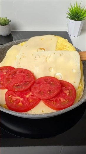 PERFECTLY GOLDEN TORTILLA EVERY SINGLE TIME!