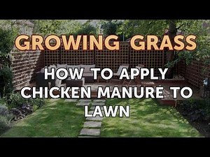 How to Apply Chicken Manure to Lawn
