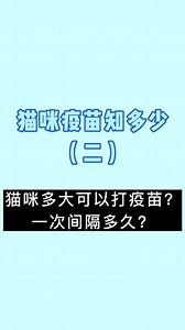 你知道猫咪多大可以打疫苗吗？疫苗要打几次？间隔多久？ #猫咪打疫苗 #宠物猫 #新手养宠