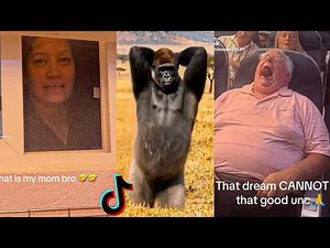 Random videos I watch at 2 a.m. #1