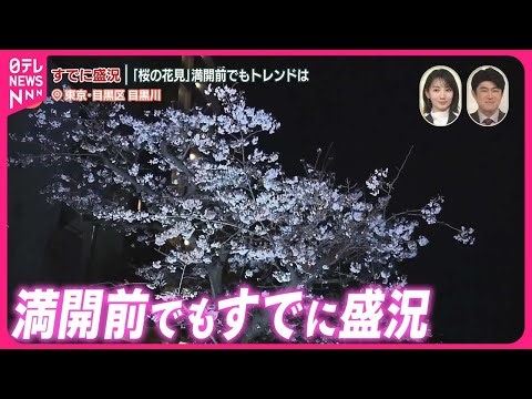 【中継】「桜の花見」満開前でもすでに盛況 今年のトレンドは