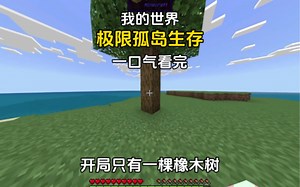我的世界：耗时3000带你一口气看完极限孤岛生存！