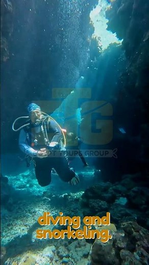 🌊 Discover Marsa Alam, Egypt ✨