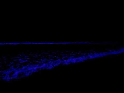 No Ads Deep Relaxation Music • Soothing Waves Crashing on Beach In Night | White Noise sleep, study