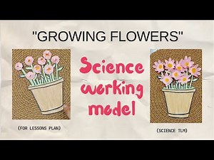 Science working model || Science TLM #science #project #art