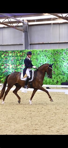 🥇 Jayden Brown & Leopold, owned by Karen Gordon, wins the Prix St-Georges - Small Tour, Sponsored by Victorian Dressage Club 👏 Day 2 at the High Horse Dressage Festival Powered by Ulcer Armour 🙌 Video by Unicorn Video Productions 🎬 | The Victorian Dressage Festival