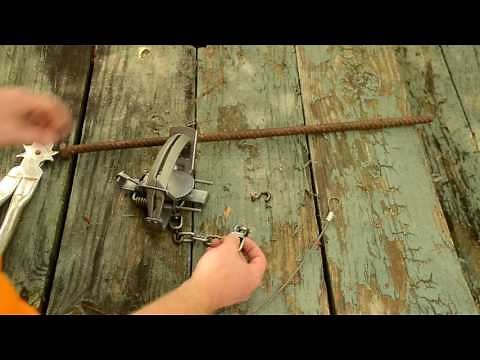 Predator Trapping - Trap and Stake Assembly