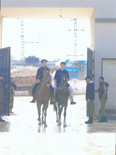 Two Riders, One Journey: Friendship on Horseback