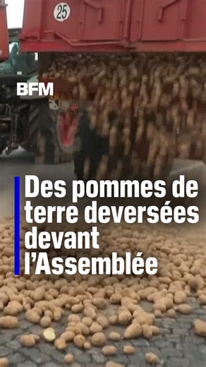Des pommes de terre ont été déversées devant l'Assemblée nationale par des agriculteurs de la FNSEA. Les Parisiens sont invités à venir se servir | BFMTV