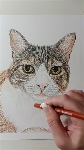 Emma Williams on Instagram: "I will draw a realistic pet portrait from your photo with colored pencils"