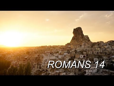 ROMANS 14 NIV AUDIO BIBLE (with text)