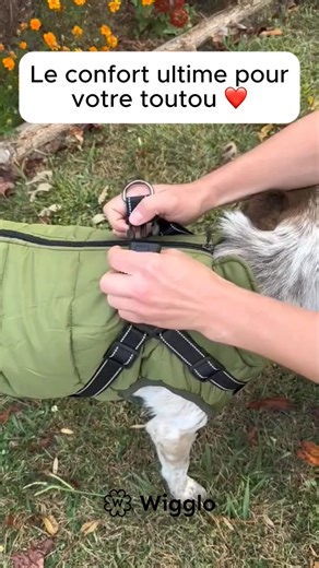 Fini la galère pour habiller votre chien avant la balade ! 🌧 Vous connaissez ce moment où votre toutou refuse de mettre son manteau ? C'est du passé. Avec notre nouvelle veste imperméable : ✅ 3 secondes chrono pour l'enfiler (littéralement !). ✅ 100% Imperméable : il rentre au sec, votre maison reste propre. ✅ Confort absolu : tissu doux qu'ils adorent porter. ✅ Hygiène top : un tour en machine et elle est comme neuve. Profitez des balades, même sous la pluie, sans le stress de l'habillage ! | 