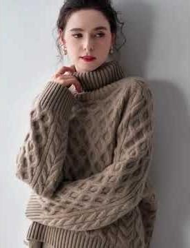 Loose Knit Turtleneck Pullover Sweater