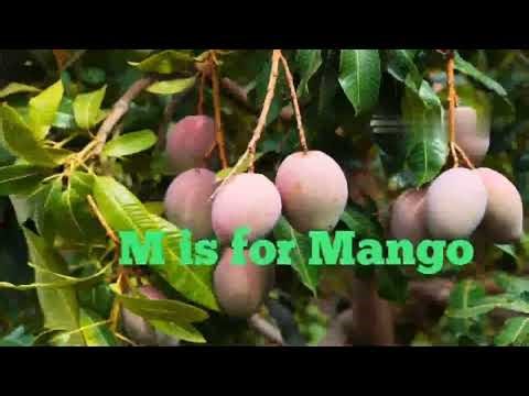 A to Z tree song🌳/ ABC trees song for kids/ Learn alphabet with tree/ Fun nursery rhymes/