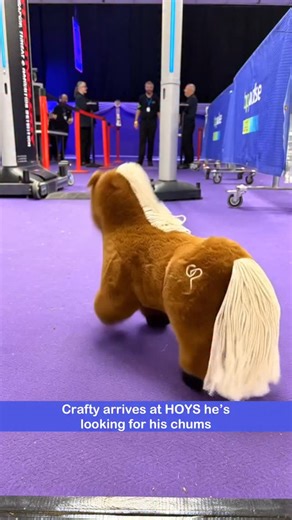 2.6K views · 444 reactions | Crafty looks for his friends at HOYS #wearehoys #craftyponies #craftyponies_uk | Crafty Ponies | Facebook