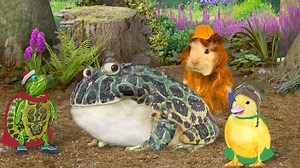 Watch Save the Bullfrog! / Save the Poodle! - Wonder Pets! (Series 1, Episode 17) - Apple TV (BS)