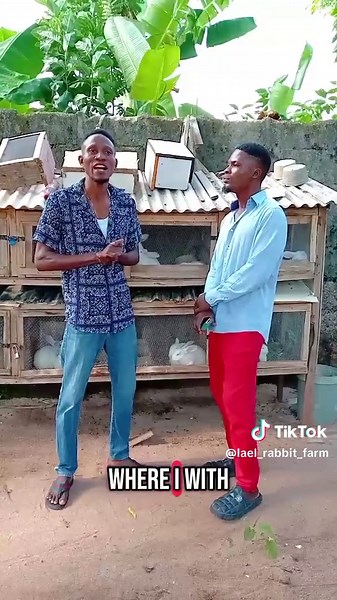 Doctor Rabbit on TikTok