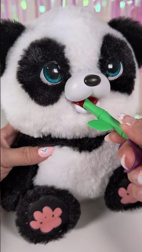 Little Live pets My Baby Panda! #asmr #littlelivepets