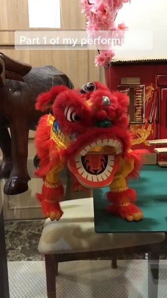 First vid of my performance! Follow more part 2! #fyp #fypシ #liondance #chinese #performance #foryou #foryoupage #fypシ゚viral #puppet #happylion 🦁❤️❤️